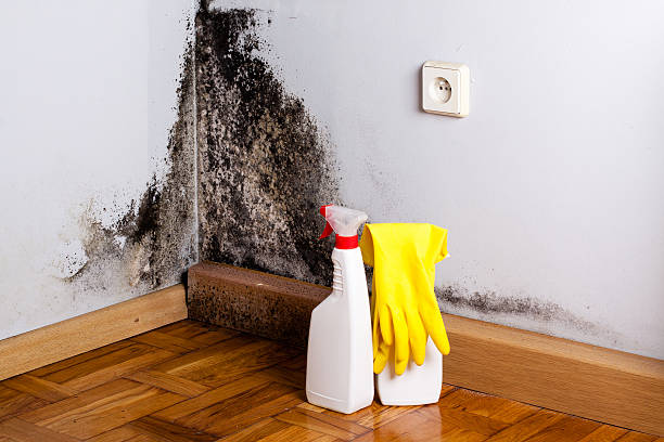 Local water damage restoration in Annapolis, MD